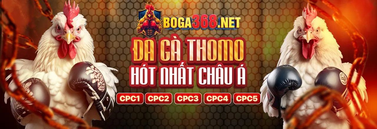 Đá Gà Trực Tuyến Hấp Dẫn tại ZB368